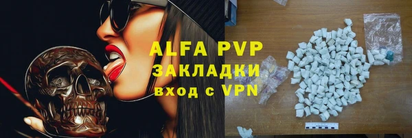 молекула духа Богородицк