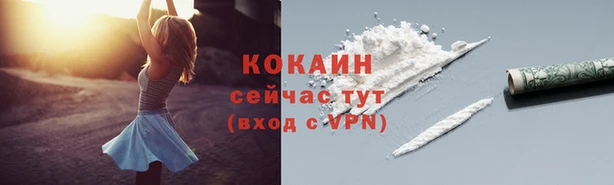 дмт Аркадак