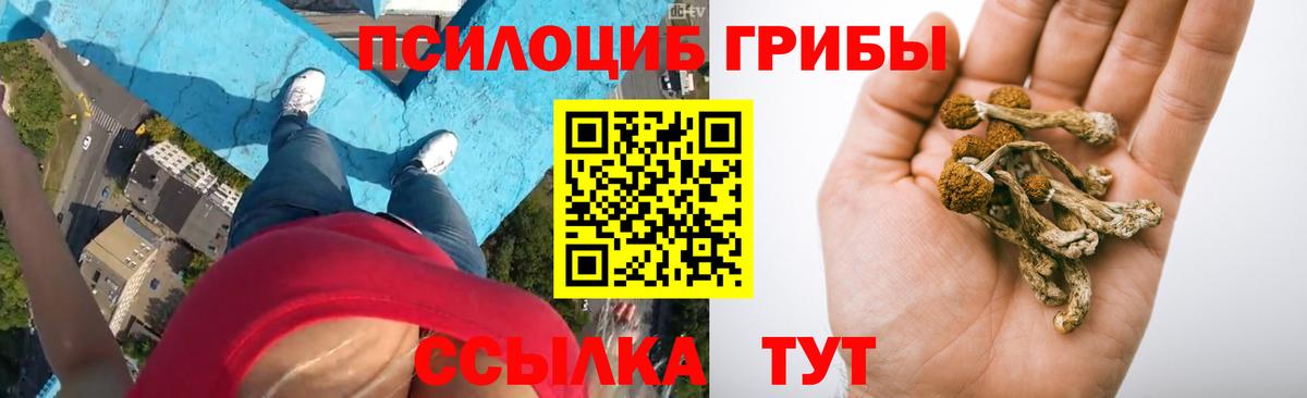 Псилоцибиновые грибы ЛСД Похвистнево